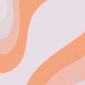 Meet your Posher, Lara zlam